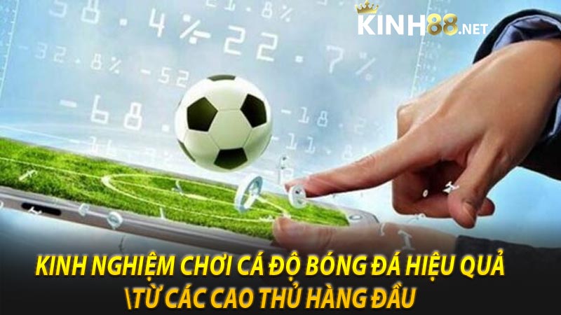 Kinh nghiệm chơi cá độ bóng đá hiệu quả từ các cao thủ hàng đầu 